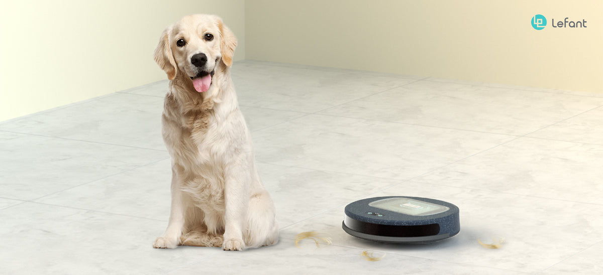 How does Lefant do with dog hair?